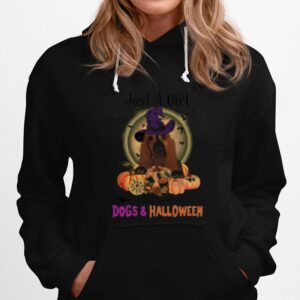 Basset Hound Just A Girl Who Loves Dogs And Halloween Hoodie