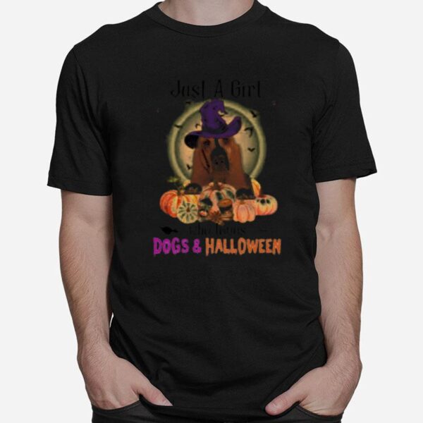 Basset Hound Just A Girl Who Loves Dogs And Halloween T-Shirt