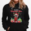 Bouvier Des Flandres Santa The Most Wonderful Time Of The Year Christmas Hoodie