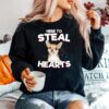 Chihuahua Here To Steal Hearts Sweater