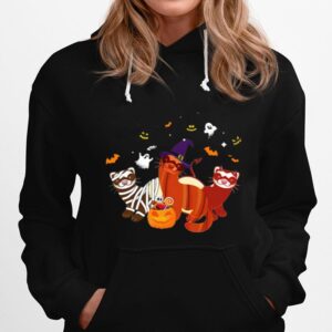 Ferret Pumpkin Halloween Hoodie