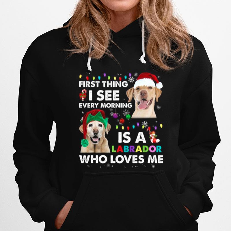 First Thing I See Every Morning Is A Labrador Who Loves Me Hoodie