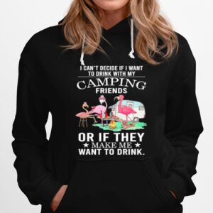 Flamingo Camping Friends Or If They Make Me Want To Drink Hoodie