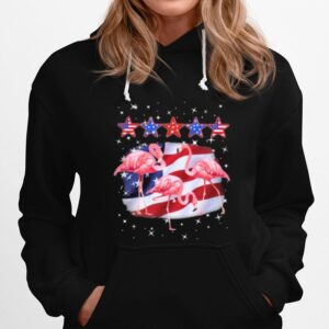 Flamingo Five Star America For Flamingo Lover Hoodie