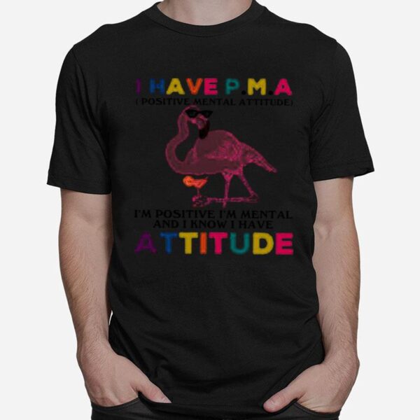 Flamingo I Have Pma Im Positive Im Mental And I Know I Have Attitude T-Shirt