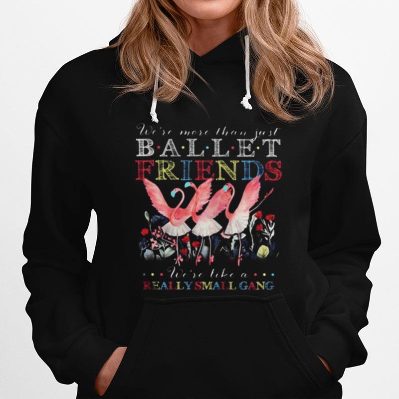 Flamingo Mask We%E2%80%99Re More Than Just Ballet Friends We%E2%80%99Re Like A Really Small Gang Hoodie