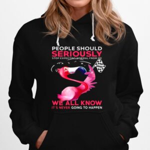 Flamingo People Should Seriously We All Know Its Never Going To Happen Hoodie