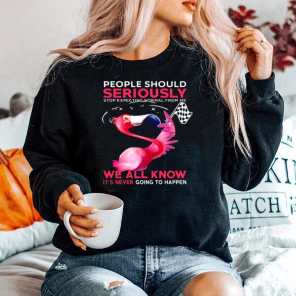 Flamingo People Should Seriously We All Know Its Never Going To Happen Sweater