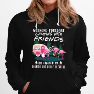 Flamingo Weekend Forecast Camping With Friends No Chance Of Cooking And House Cleaning Hoodie