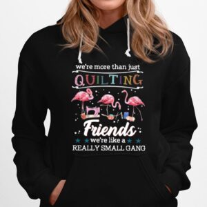 Flamingo Were More Than Just Quilting Friends Were Like A Really Small Gang Hoodie