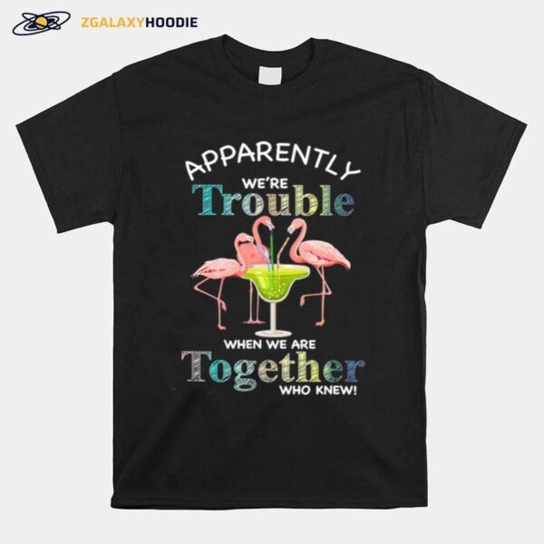 Flamingos Margarita Apparently Were Trouble When We Are Together Who Knew T-Shirt