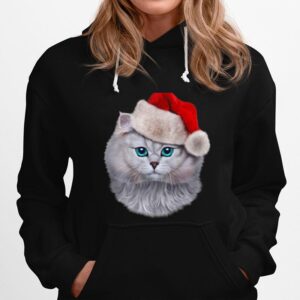 Fluffy Cat Wearing Santa Claus Hat On Christmas Holiday Hoodie