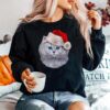 Fluffy Cat Wearing Santa Claus Hat On Christmas Holiday Sweater