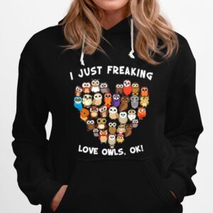 Heart Owls I Just Freaking Love Owls Ok Hoodie