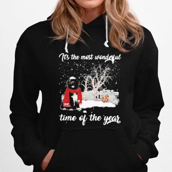 Newfoundland Its The Most Wonderful Time Of The Year Hoodie