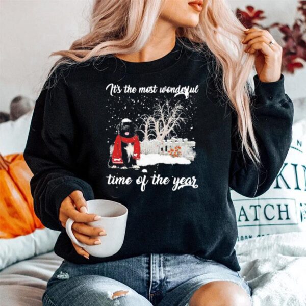 Newfoundland Its The Most Wonderful Time Of The Year Sweater