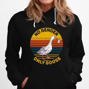 No Gender Only Goose Gender Neutral Pride Flag Vintage Hoodie