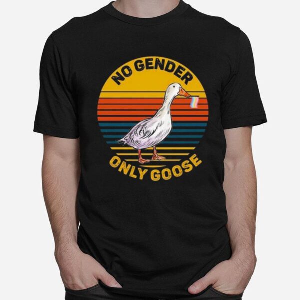 No Gender Only Goose Gender Neutral Pride Flag Vintage T-Shirt