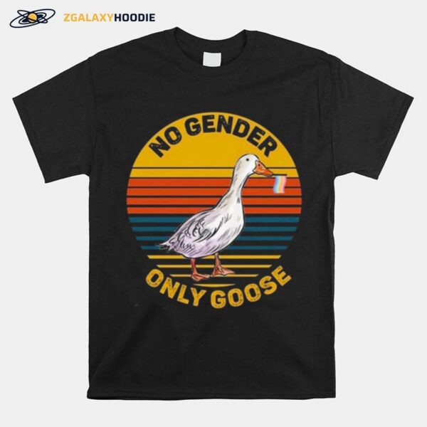 No Gender Only Goose Gender Neutral Pride Flag Vintage T-Shirt