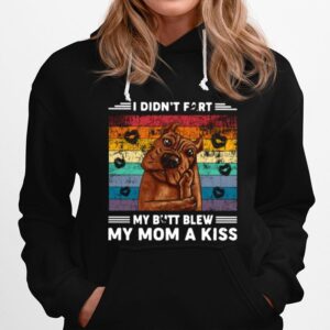 Pitbull I Didnt Fart My Butt Blew My Mom A Kiss Vintage Hoodie