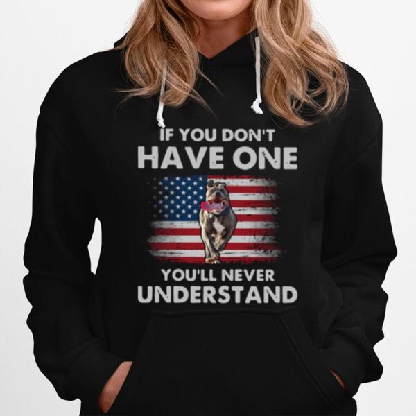 Pitbull If You Dont Have One Youll Never Understand American Flag Hoodie