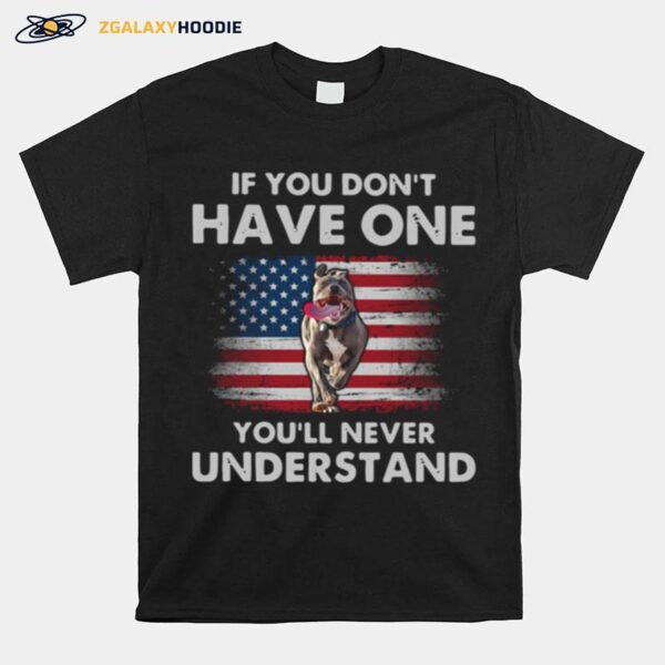 Pitbull If You Dont Have One Youll Never Understand American Flag T-Shirt