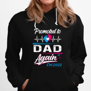 Promoted To Dad Again Est 2022 Hoodie