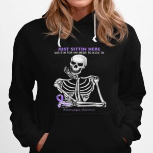 Skeleton Just Sittin Here Waitin For My Meds To Kick In Fibromyalgia Awareness Hoodie