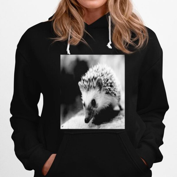 Sweet Hedgehog In Autumn Hoodie