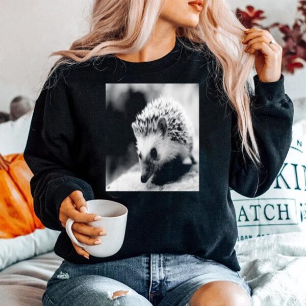 Sweet Hedgehog In Autumn Sweater