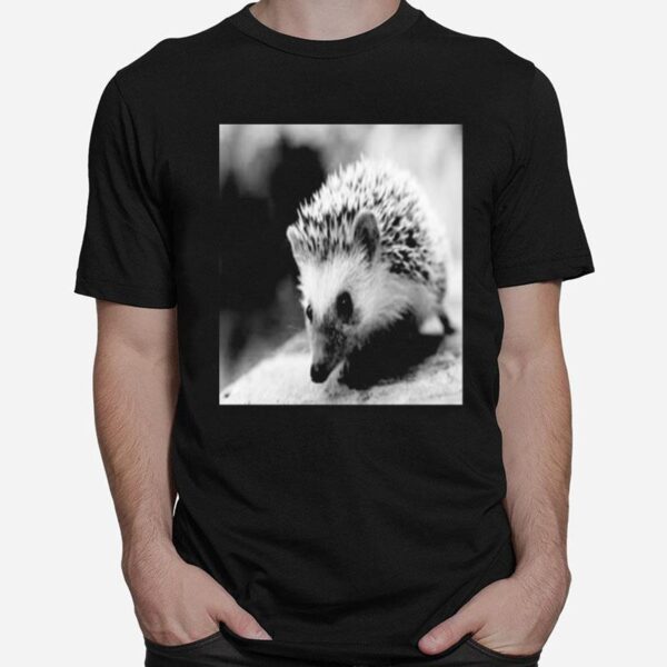 Sweet Hedgehog In Autumn T-Shirt