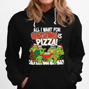Teenage Mutant Ninja Turtles Pizza For Christmas Hoodie