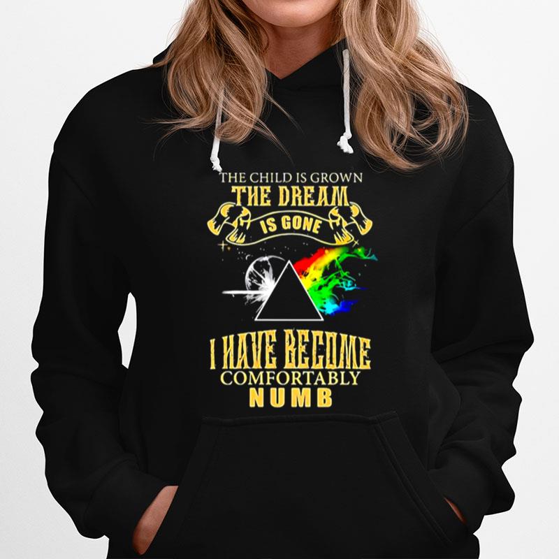 The Child Is Grown The Dream Is Gone I Have Become Comfortably Numb Moon Lgbt Pink Floyd Hoodie