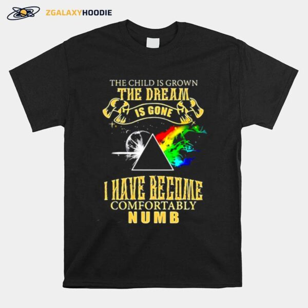 The Child Is Grown The Dream Is Gone I Have Become Comfortably Numb Moon Lgbt Pink Floyd T-Shirt