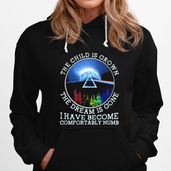 The Child Is Grown The Dream Is Gone I Have Become Comfortably Numb Pink Floyd Lgbt Hoodie