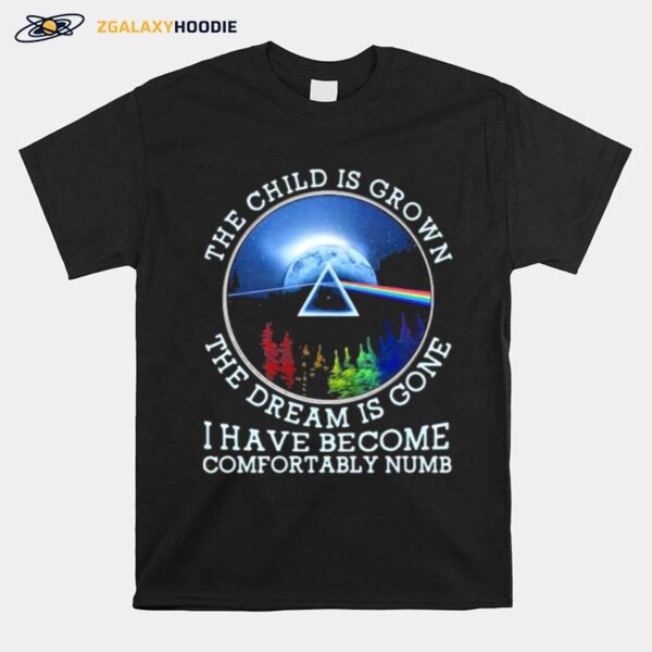 The Child Is Grown The Dream Is Gone I Have Become Comfortably Numb Pink Floyd Lgbt T-Shirt